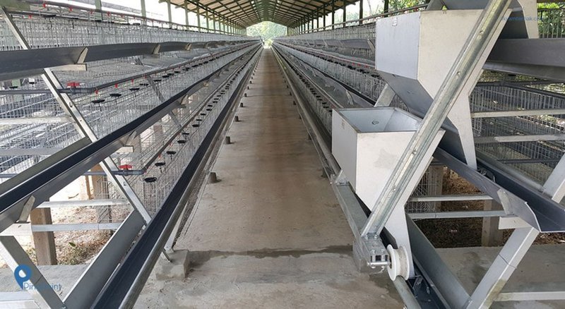 Kandang Ayam CV EHPRA Farm